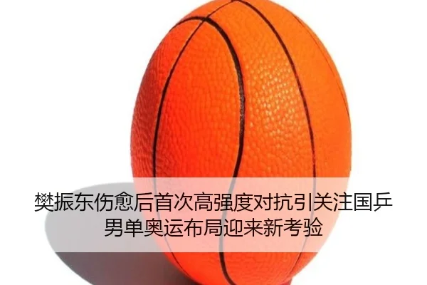 樊振东伤愈后首次高强度对抗引关注国乒男单奥运布局迎来新考验